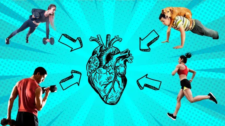 How Does Exercise Give You A Healthy Heart 