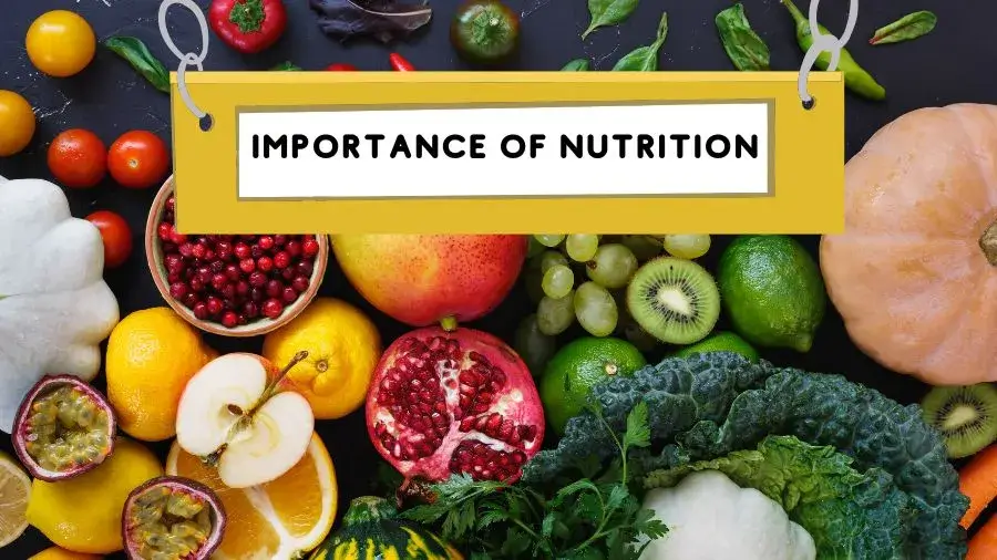 Importance of Nutrition in overall Physical Condition